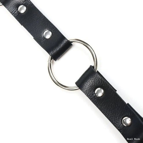 Anal Leash 5853 Kinky and Hook EverydayUse with Collar 0927